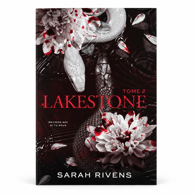 Vue de face de Lakestone tome 2