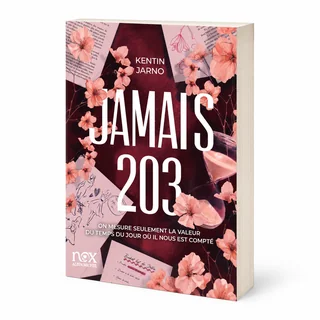 Vue de trois quarts de Jamais 203